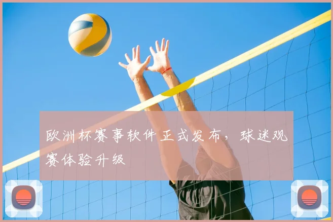 欧洲杯赛事软件正式发布,球迷观赛体验升级