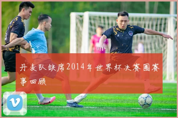 丹麦队缺席2014年世界杯决赛圈赛事回顾