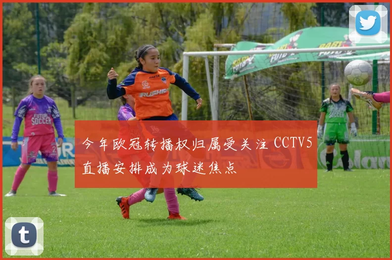 今年欧冠转播权归属受关注 CCTV5直播安排成为球迷焦点
